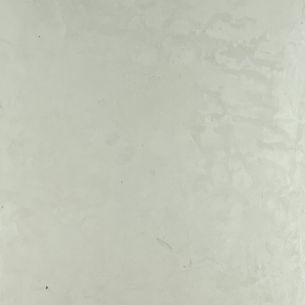 CMR 1B1C
